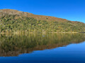 Tree Reflections, Brothers Water, Cumbria